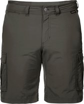 Jack Wolfskin Outdoorbroek - Maat 50  - Mannen - donkergroen/grijs