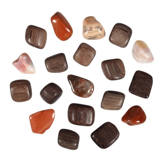 Versteend Hout Steen Getrommeld 2 5 Gram Bol versteend-hout-steen-getrommeld-2-5-gram-bol