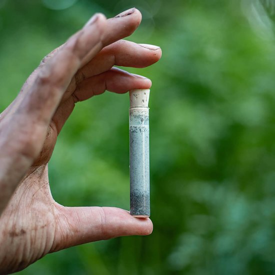 ECOstyle pH Bodemtest - Zuurtegraad meter voor Grond - Bepaal Kalk behoefte voor Tuin en Gazon - 8 Testen