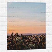 WallClassics - Muursticker - Cylindropuntia Fulgida Plantjes voor Berglandschap met Oranje Lucht - 60x80 cm Foto op Muursticker