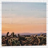 WallClassics - Muursticker - Cylindropuntia Fulgida Plantjes voor Berglandschap met Oranje Lucht - 50x50 cm Foto op Muursticker