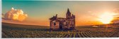 WallClassics - Acrylglas - Oud Kasteel op het Platteland met Zonsondergang - 60x20 cm Foto op Acrylglas (Met Ophangsysteem)