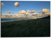 Dibond - Schapenwolkjes boven Groen Grasveld - 40x30 cm Foto op Aluminium (Wanddecoratie van metaal)