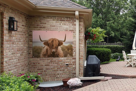 Affiche de jardin Vache - Highlander écossais - Animal - 120x80 cm - Jardin