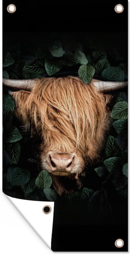 Tuinposter 80x160 cm - Tuindecoratie Schotse hooglander - Dier - Flora - Poster voor in de tuin - Buiten decoratie - Schutting tuinschilderij - Tuindoek muurdecoratie - Wanddecoratie balkondoek