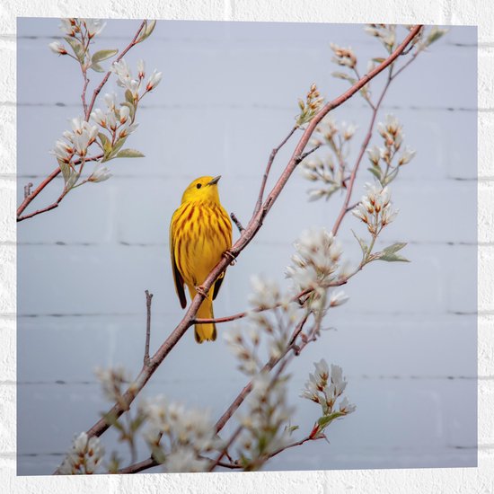 WallClassics - Muursticker - Gele Vogel op Tak met Bloemen - Mangrovezanger - 50x50 cm Foto op Muursticker