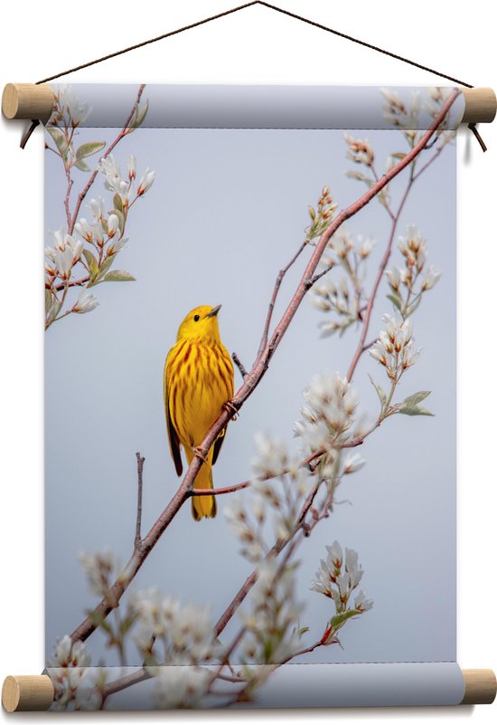 WallClassics - Textielposter - Gele Vogel op Tak met Bloemen - Mangrovezanger - 30x40 cm Foto op Textiel