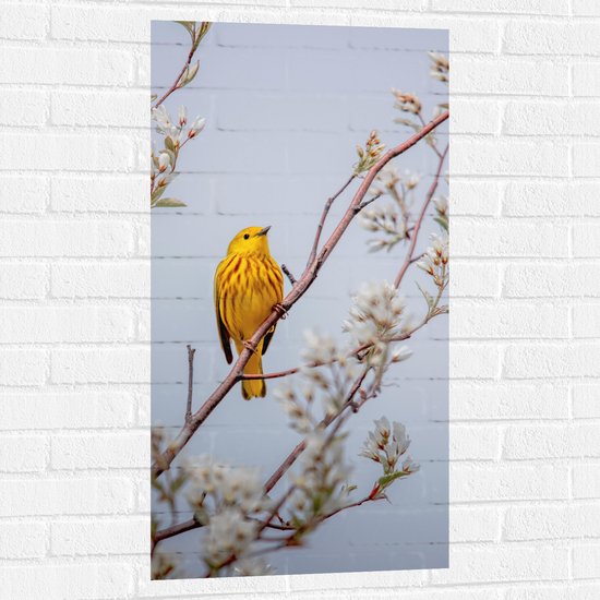 WallClassics - Muursticker - Gele Vogel op Tak met Bloemen - Mangrovezanger - 50x100 cm Foto op Muursticker