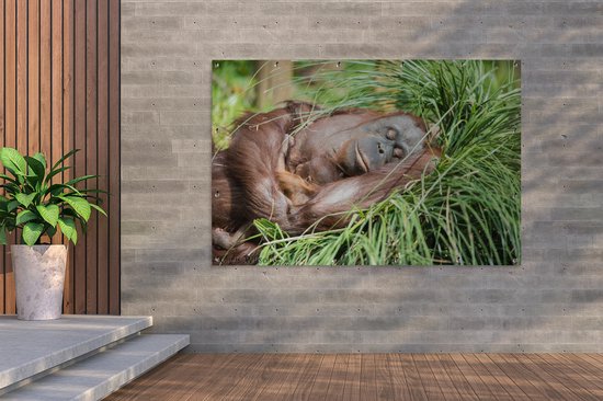 Tuinposter 180x120 cm - Tuindecoratie Aap - Jong - Gras - Slapen - Poster voor in de tuin - Buiten decoratie - Schutting tuinschilderij - Tuindoek muurdecoratie - Wanddecoratie balkondoek