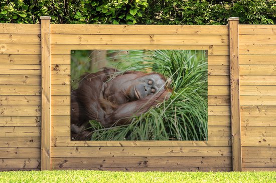 Tuinposter 180x120 cm - Tuindecoratie Aap - Jong - Gras - Slapen - Poster voor in de tuin - Buiten decoratie - Schutting tuinschilderij - Tuindoek muurdecoratie - Wanddecoratie balkondoek