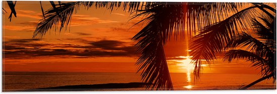 Vlag - Silhouet van Grote Palmbladeren bij Feloranje Zonsondergang - 60x20 cm Foto op Polyester Vlag
