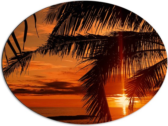 Dibond Ovaal - Silhouet van Grote Palmbladeren bij Feloranje Zonsondergang - 68x51 cm Foto op Ovaal (Met Ophangsysteem)