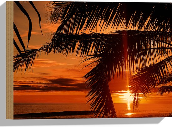 Hout - Silhouet van Grote Palmbladeren bij Feloranje Zonsondergang - 40x30 cm - 9 mm dik - Foto op Hout (Met Ophangsysteem)