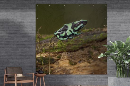 Groene pijlgifkikker met zwarte patronen op een mosbegroeid stuk hout, geplaatst tegen een bakstenen muur.