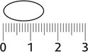 Schaalverdeling van 0 tot 3 cm naast een ovale capsule.