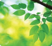 Fellowes Tapis de souris durable Earth Series Leaves, vert