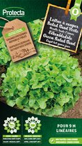 Protecta Groente zaden: Eikenbladsla Rode Salad Bowl Biologisch