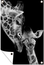 Tuindecoratie Portret - Giraffe - Dieren - Zwart - Wit - 40x60 cm - Tuinposter - Tuindoek - Buitenposter