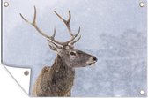 Muurdecoratie Sneeuw - Hert - Winter - 180x120 cm - Tuinposter - Tuindoek - Buitenposter