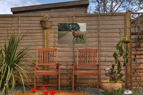 Décoration de Jardin Cerf - Vert - Herbe - 40x30 cm - Toile de jardin - Poster extérieur