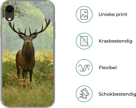 Coque iPhone XR - Red Deer - Nature - Vert - Coque de téléphone en Siliconen