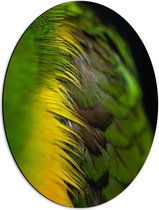 WallClassics - Dibond Ovaal - Groen met Gele Veren - 42x56 cm Foto op Ovaal (Met Ophangsysteem)