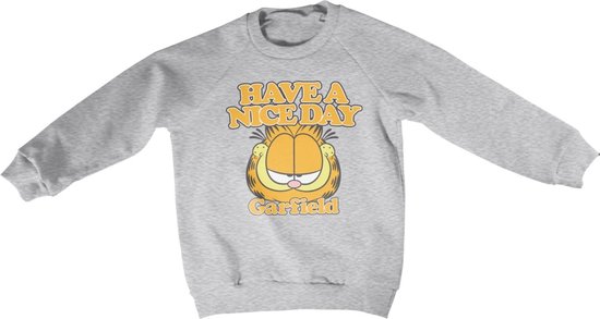 Garfield Sweater/trui kids -Kids tm jaar- Have A Nice Day Grijs