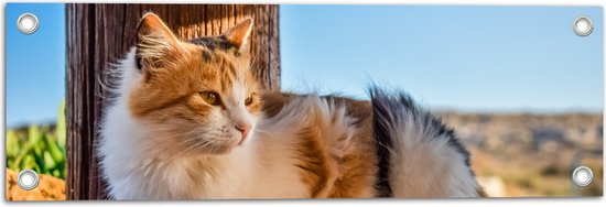 WallClassics - Tuinposter – Genietende Kat in de Wind - 60x20 cm Foto op Tuinposter  (wanddecoratie voor buiten en binnen)