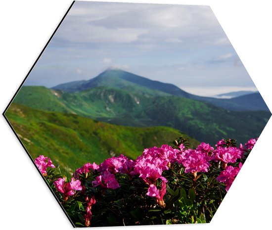Dibond Hexagon - Groepje Roze Bloemen op Top van Berg in Berglandschap - 50x43.5 cm Foto op Hexagon (Met Ophangsysteem)
