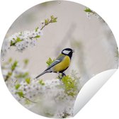 Tuincirkel Vogel - Koolmees - Bloemen - Bloesemboom - 60x60 cm - Ronde Tuinposter - Buiten