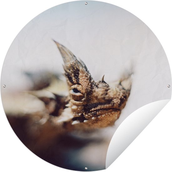 Tuincirkel Bergduivel op een vage achtergrond - 60x60 cm - Ronde Tuinposter - Buiten