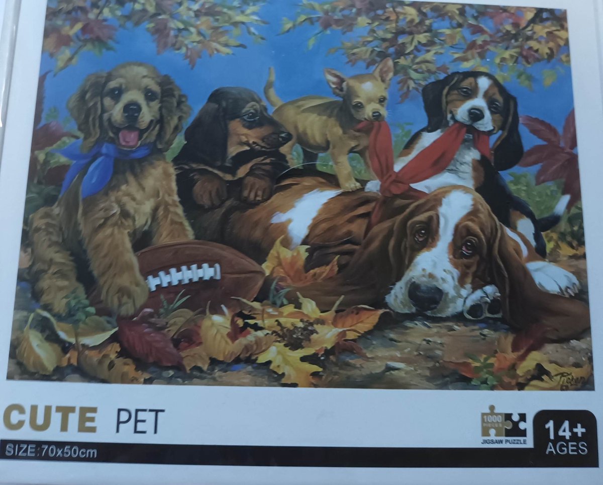 Puzzel 1000 stuks 70cm x 50cm - Cute Pet