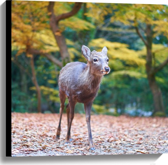 Canvas - Hertje tussen Herfstbladeren in Bos - 60x60 cm Foto op Canvas Schilderij (Wanddecoratie op Canvas)