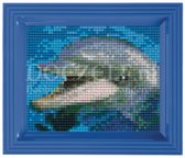 Pixel hobby emballage cadeau dauphin