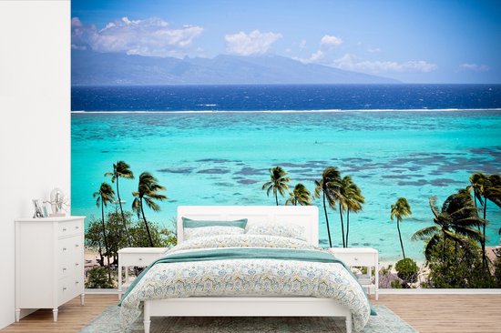 Papier peint photo en vinyle - Palmiers sur la côte de Moorea en Polynésie française largeur 360 cm x hauteur 240 cm - Tirage photo sur papier peint (disponible en 7 tailles)