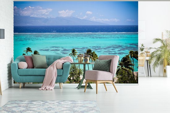 Papier peint photo en vinyle - Palmiers sur la côte de Moorea en Polynésie française largeur 360 cm x hauteur 240 cm - Tirage photo sur papier peint (disponible en 7 tailles)