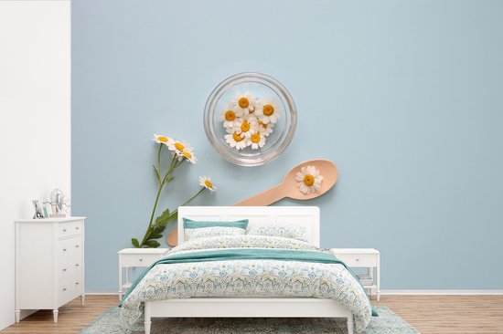 Papier peint Papier peint photo en vinyle - Fleurs de camomille sur fond bleu clair largeur 360 cm x hauteur 240 cm - Tirage photo sur papier peint (disponible en 7 tailles)