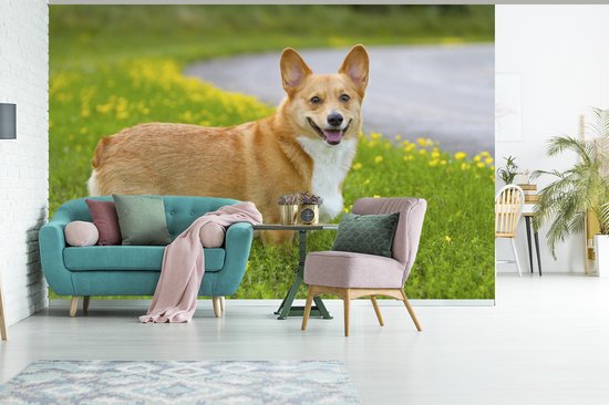 Papier peint photo peint photo vinyle - Corgi entre les fleurs largeur 330 cm x hauteur 220 cm - Tirage photo sur papier peint (disponible en 7 tailles)