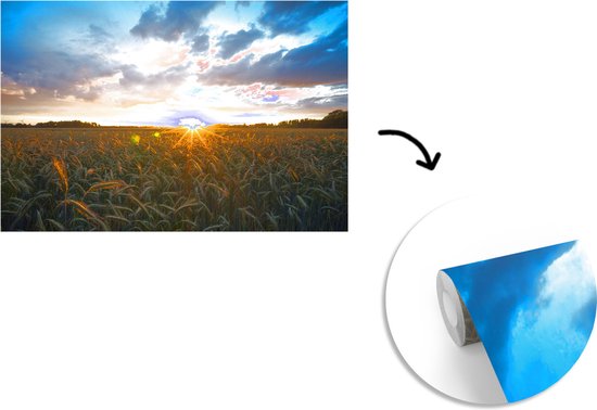 Papier peint photo peint photo vinyle - Coucher de soleil sur un champ de maïs largeur 420 cm x hauteur 280 cm - Tirage photo sur papier peint (disponible en 7 tailles)