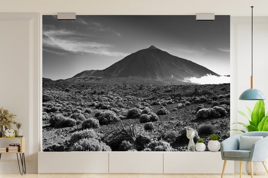 Papier peint photo Tenerife - Vue du volcan El Tei, Tenerife - Zwart- Wit largeur 305 cm x hauteur 220 cm - Impression photo sur papier peint vinyle (disponible en 7 formats) - chambre/séjour/bureau