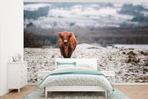 Behang - Fotobehang Schotse hooglander - Sneeuw - Lucht - Breedte 405 cm x hoogte 260 cm