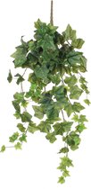 Plante Artificielle Hedera Vert - Bouchon L 70cm - Mica Decorations