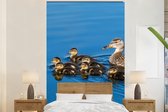 Behang - Fotobehang Eend - Water - Vogel - Bruin - Breedte 160 cm x hoogte 240 cm