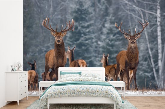 Behang - Fotobehang Hert - Winter - Sneeuw - Bosdieren - Bos - Natuur - Breedte 450 cm x hoogte 300 cm