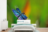 Behang - Fotobehang Een blauwe libelle - Breedte 330 cm x hoogte 220 cm