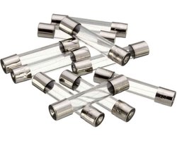 Set glaszekeringen 20 stuks met verschillende ampère - Autotoebehoren - 20 stuks -5,10,15,20,25A - Auto accessories 20 Stuks Glaszekering