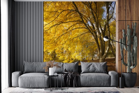 Behang - Fotobehang Gele bladeren in de bossen van het Engelse Nationaal park New Forest - Breedte 200 cm x hoogte 220 cm