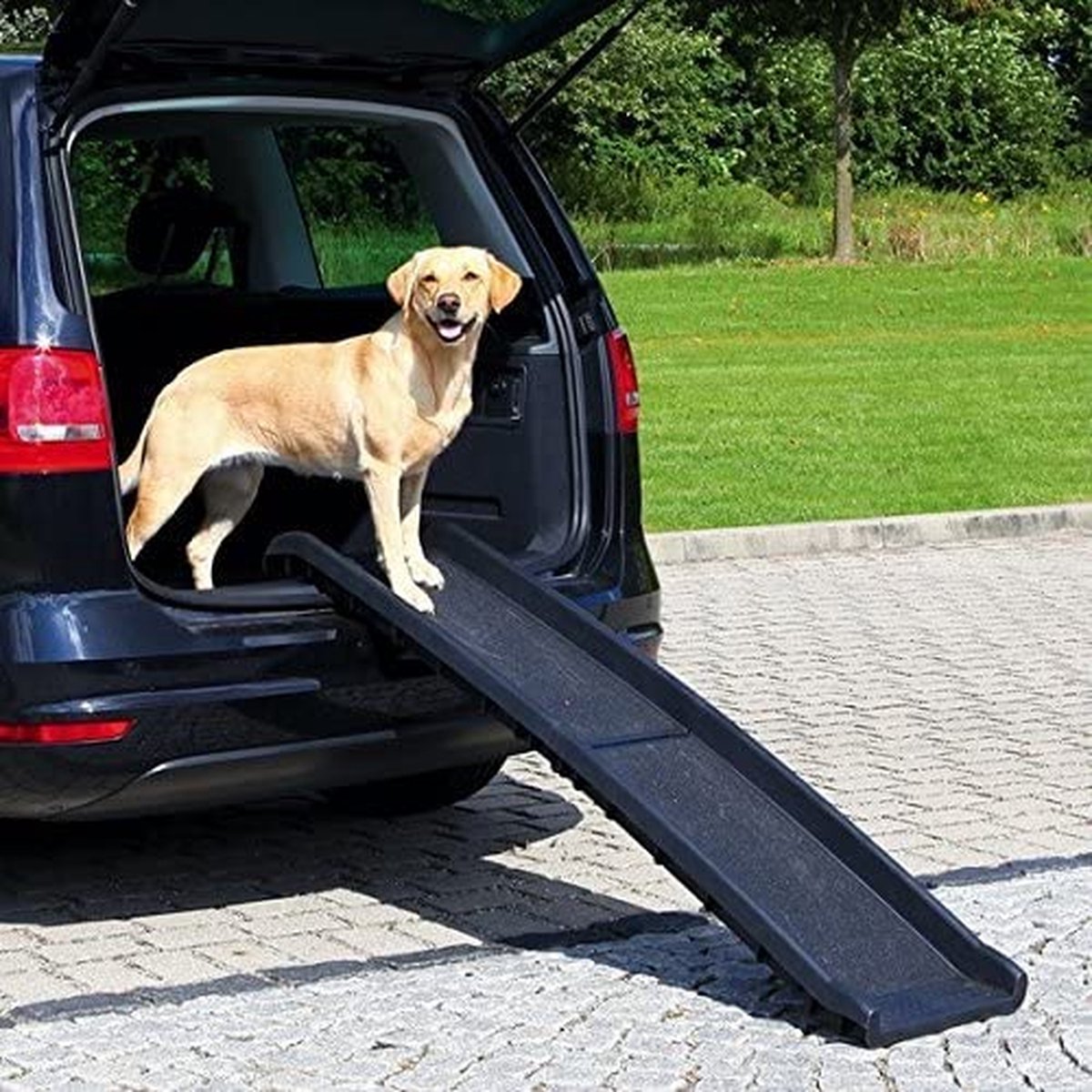 Hondentrap - trap voor honden - huisdier trap