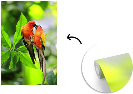 Papier peint photo vinyle - Deux perruches s'assoient ensemble sur une brindille largeur 150 cm x hauteur 220 cm - Tirage photo sur papier peint (disponible en 7 tailles)