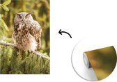 Papier peint photo en vinyle - Un hibou grand-duc sur une branche de pin largeur 150 cm x hauteur 220 cm - Tirage photo sur papier peint (disponible en 7 tailles)